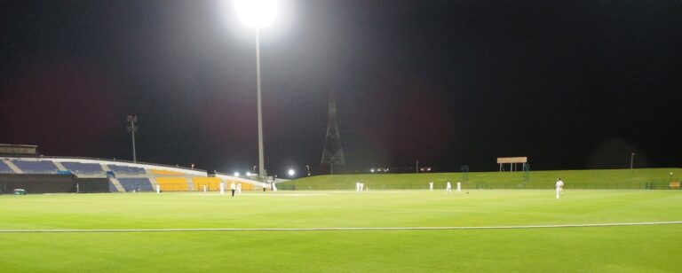 A cricket match at a stadium